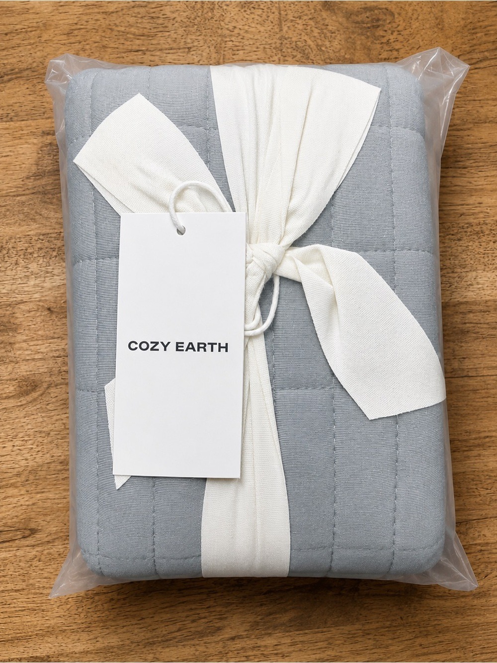 Cozy Earth Bamboo Jersey Quilted Euro Shams Stone 36x36 Set of 2 NWT - Picture 1 of 4